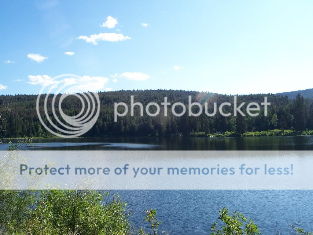 Kane Valley Road/ Vaught Valley Road Shea Lake/ Murphy Lakes and